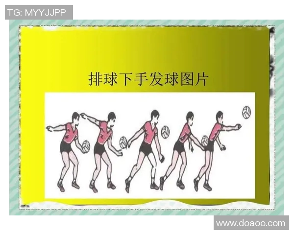 从零开始掌握排球节奏技巧全面指南助你轻松成为排球高手 从零开始掌握排球节奏技巧全面指南助你轻松成为排球高手