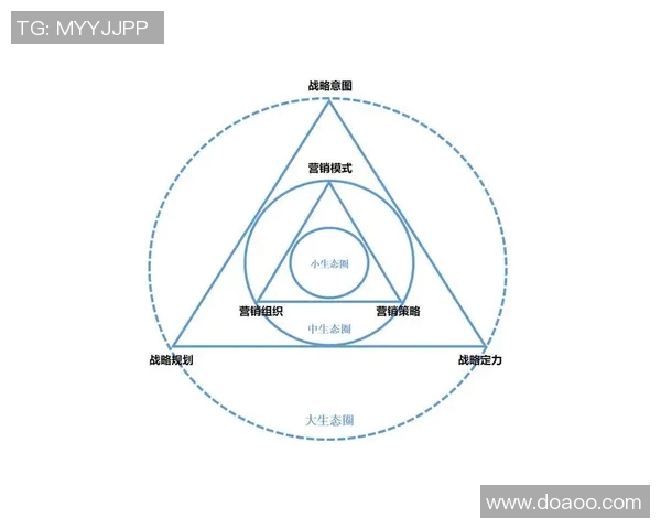 南京篮球队战术解析：构建高效控制体系的策略与实践