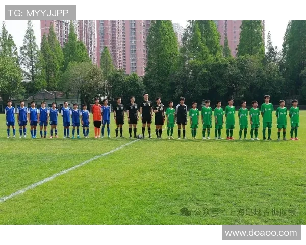 上海足球队的战术变革与球员适应性分析深度研究 上海足球队的战术变革与球员适应性分析深度研究