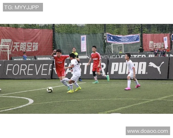 赛后分析：深圳足球队与成都足球队的实力对比与战术探讨